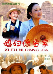 完美的妻子